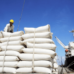 Xuất khẩu gạo của Việt Nam sang Senegal tăng gần 30 lần