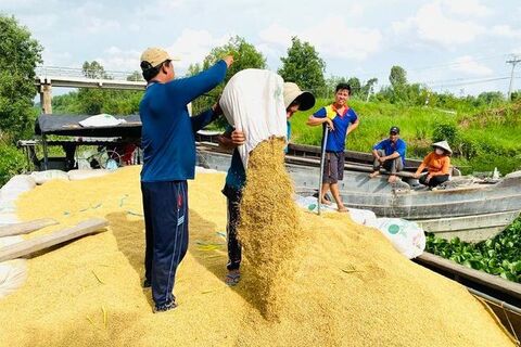 Chỉ thị về tăng cường công tác thông tin thị trường, xúc tiến thương mại, phát triển thị trường xuất khẩu gạo và bình ổn