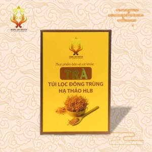 Trà Túi Lọc Đông Trùng Hạ Thảo - Hoàng Linh Biotech - Hộp 20 gói