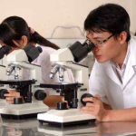 Xây dựng Thông tư về giám định tư pháp trong lĩnh vực khoa học và công nghệ