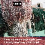 NƯỚC MẮM CHIN-SU CÁ CƠM MÙA XUÂN - MASAN